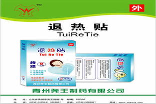 退热贴招商代理、品牌与生产厂家查询及广告设计全攻略