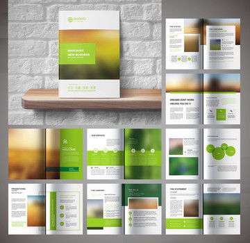 消毒剂销售企业画册设计模板 科技与商业的完美融合