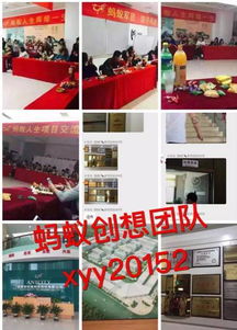 蚂蚁人生四核模式代理指南 第一创想团队助您月入十万的消毒剂销售机遇